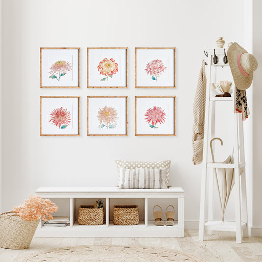 Colorful Chrysanthemum Prints Set