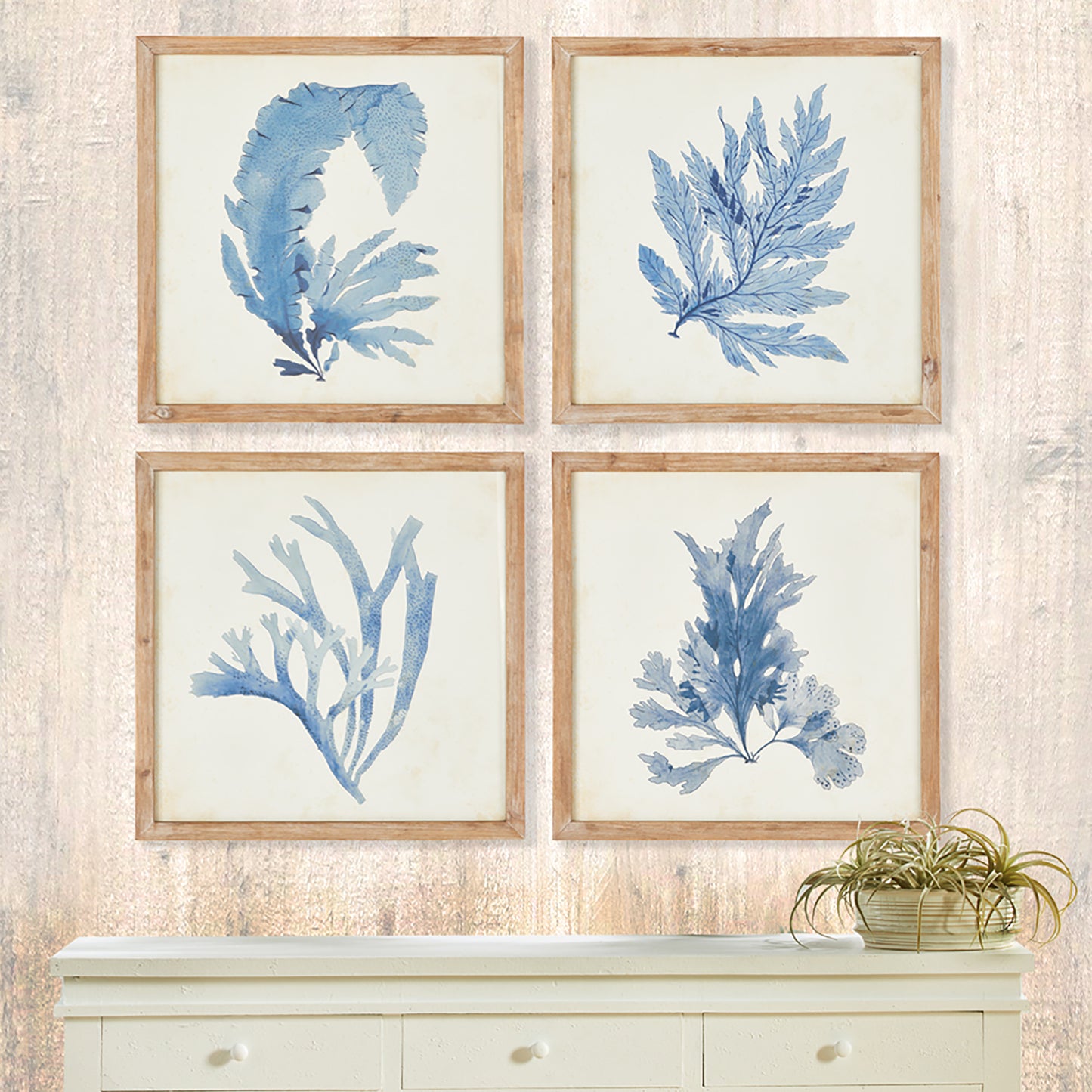 French Blue Coral Watercolor Prints, Set Of 4