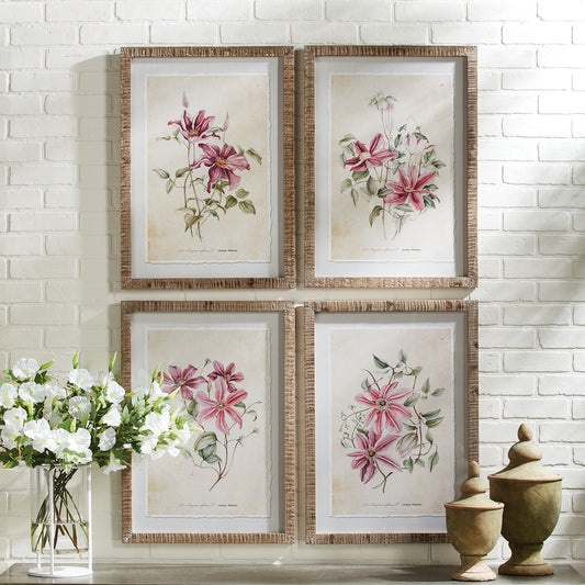 Pink Clematis Prints, Set Of 4