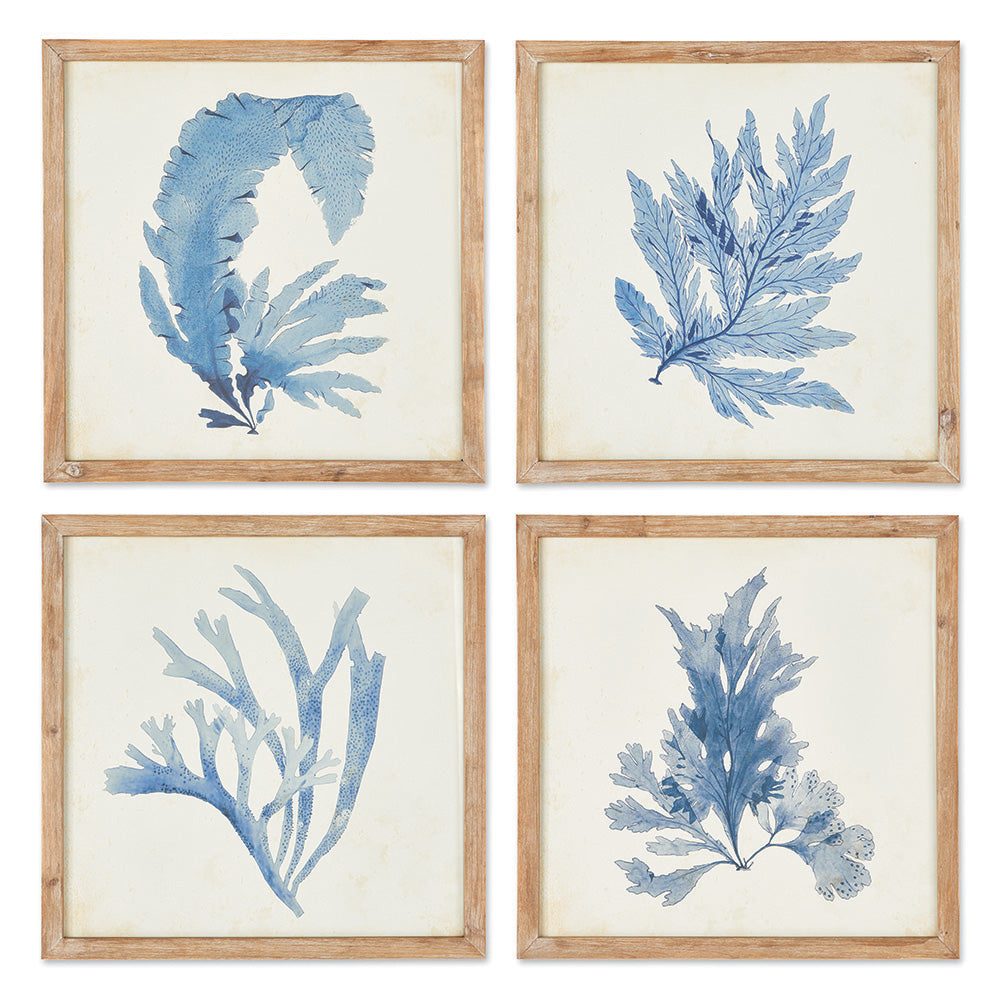 French Blue Coral Watercolor Prints, Set Of 4