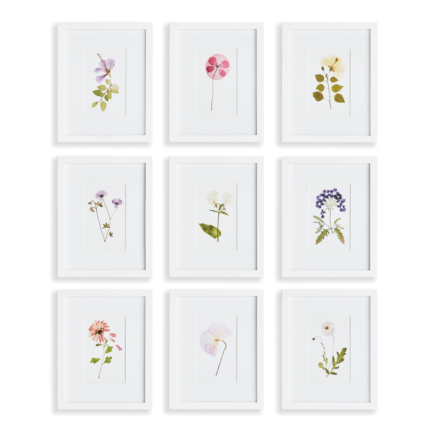 Mountain Flower Petite Prints Set