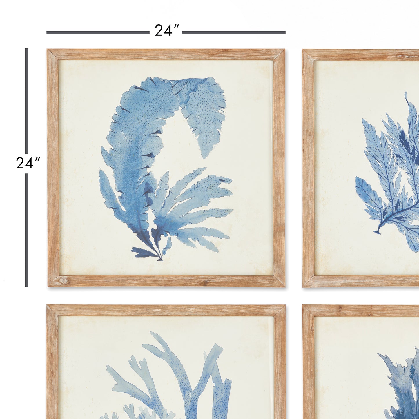 French Blue Coral Watercolor Prints, Set Of 4