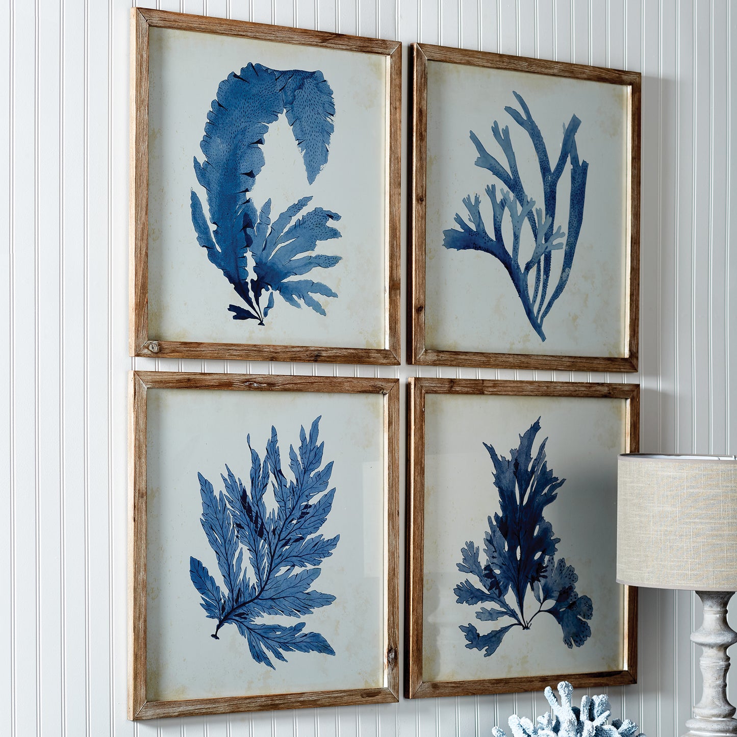 French Blue Coral Watercolor Prints, Set Of 4